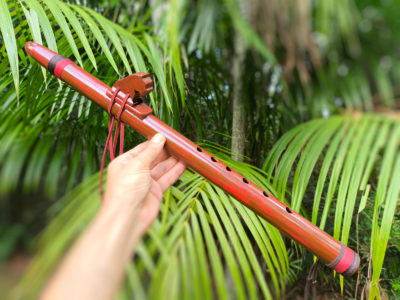 Flauta Nativa Ashar Estilo NAF - Roots Red