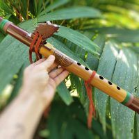 Flauta Nativa Ashar Série Clássica Bambu & Mogno A