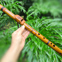 Flauta Shiva A - Ashar