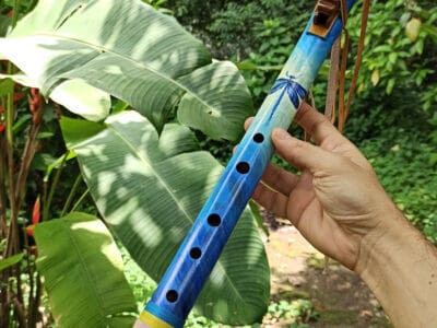 Flauta Nativa Ashar Libélula