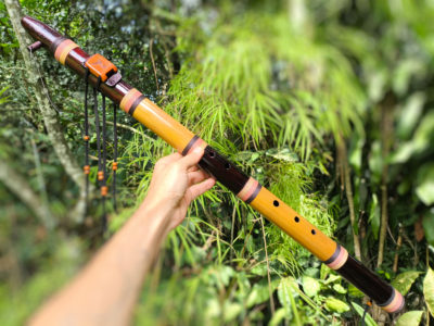 Flauta Estilo Nativa Americana - Ashar B Baixo