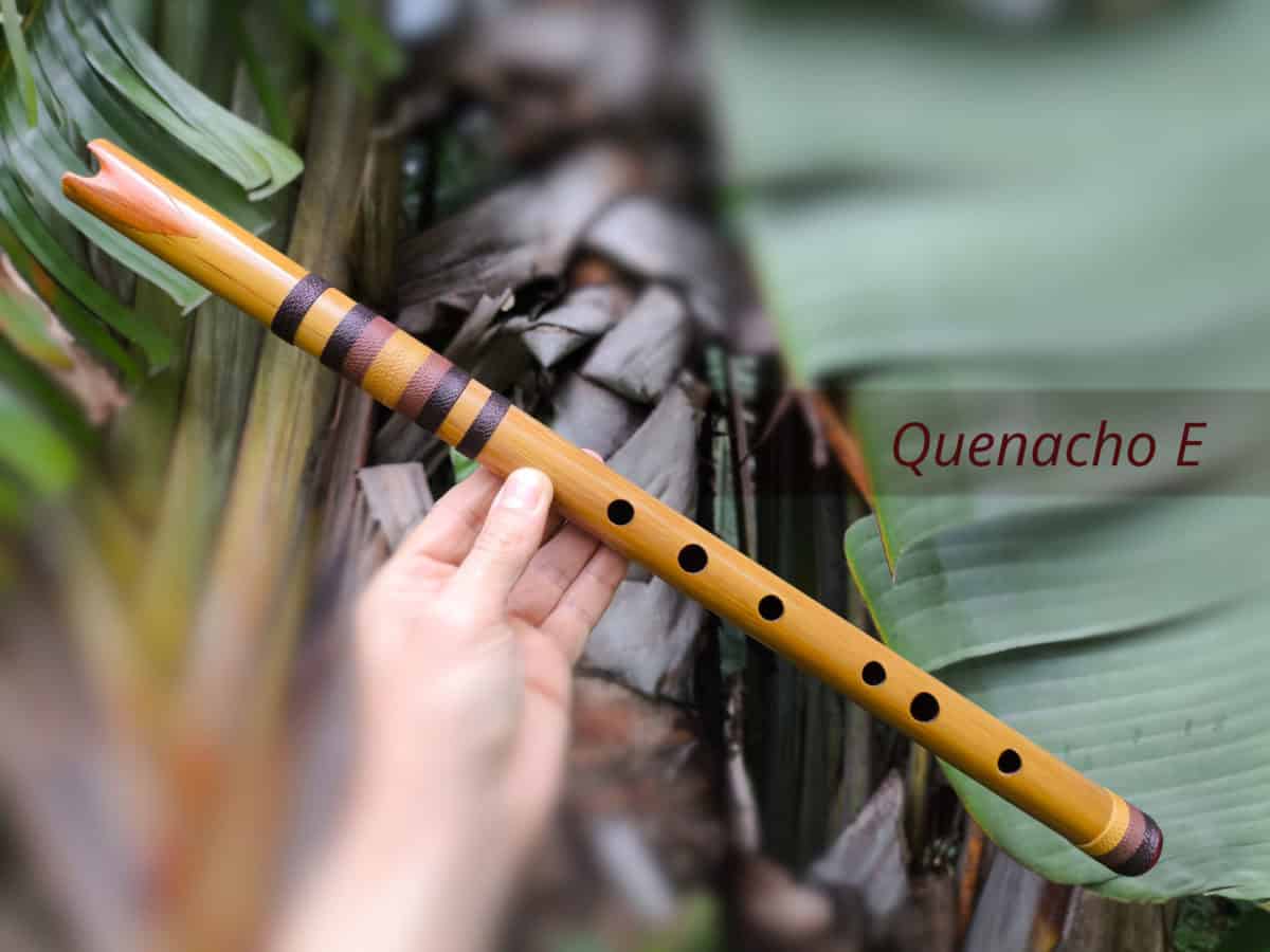 Quenacho Ashar E