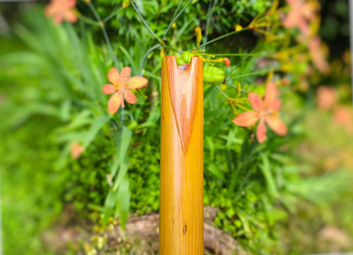 Quenacho Bambu Especial C | Ashar