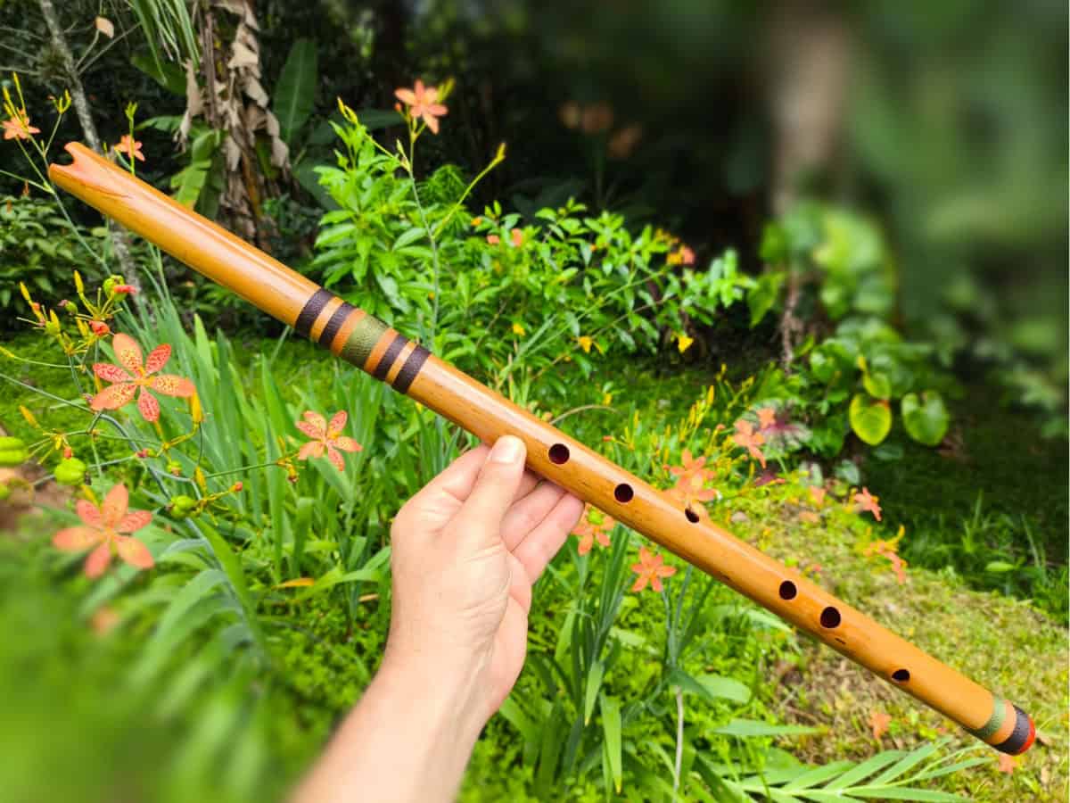 Quenacho C Bambu especial ergonômico | Ashar