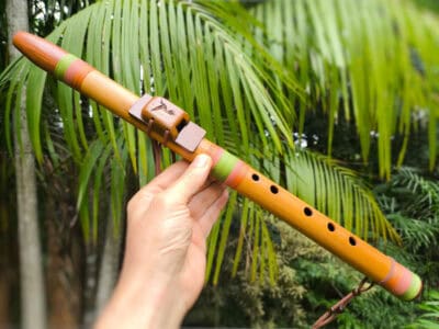 Flauta Nativa Ashar River Cane C Alto