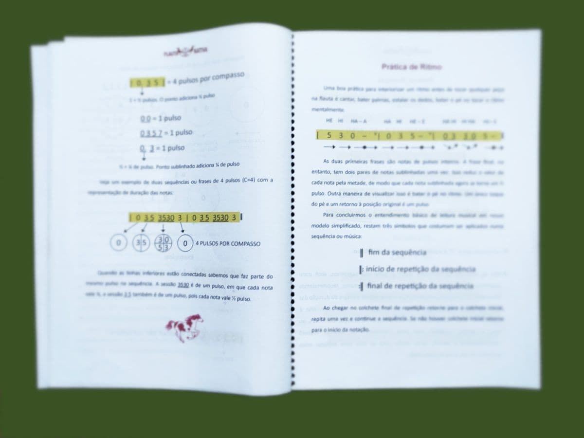 Apostila Flauta Nativa - Imagem 3