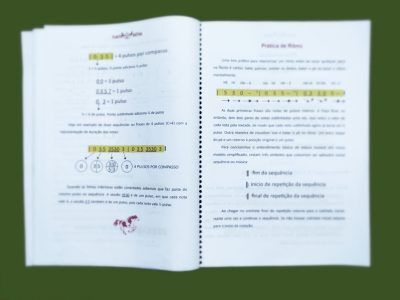 Apostila Flauta Nativa - Imagem 3