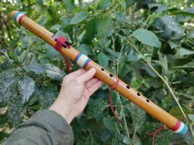flöte-native-flussrohr-fis
