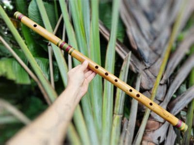 Bansuri Ashar F
