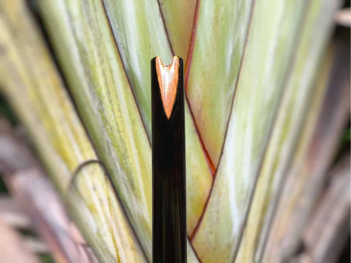 Quenacho - Flauta Estilo Quenacho - Bambu & Black - Imagem 3