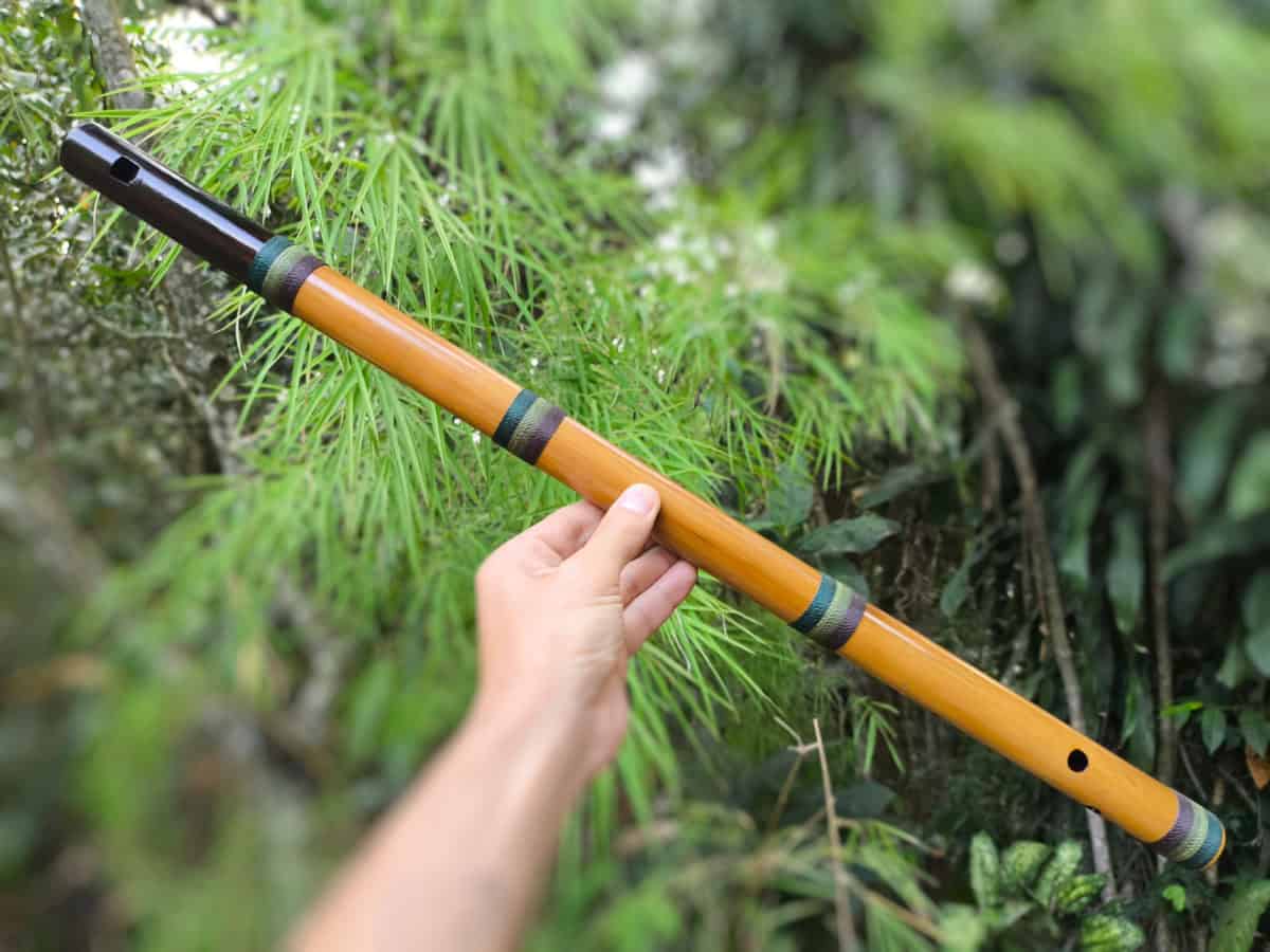 Flauta de Harmônicos Abuelos - C - Imagem 6