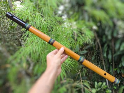 Flauta de Harmônicos Abuelos - C - Imagem 6
