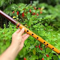 Quenacho Bambu e Mogno D | Ashar