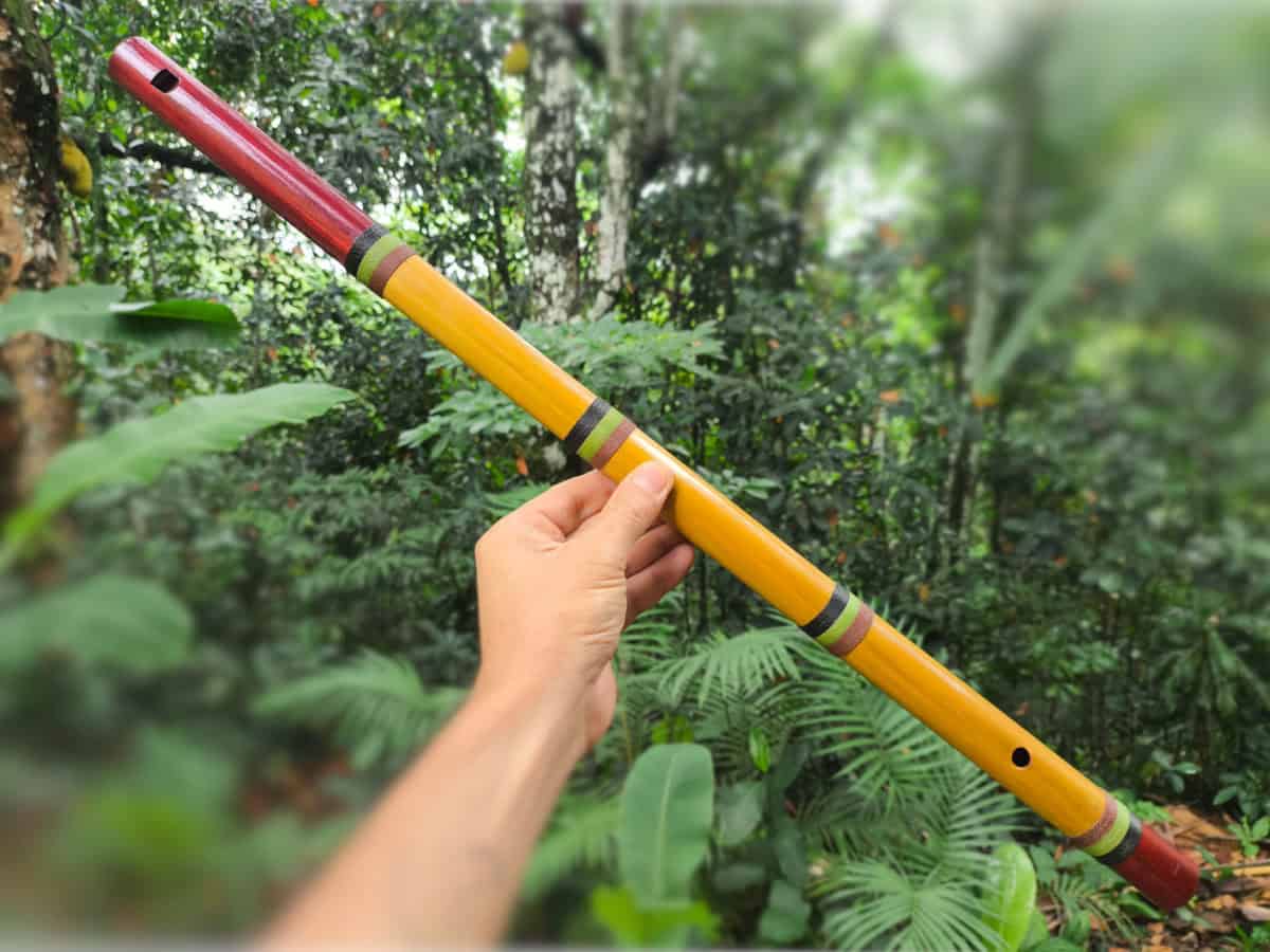 Flauta de Harmônicos Abuelos - C - Imagem 2