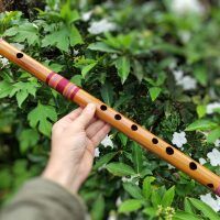 Bansuri Ashar B