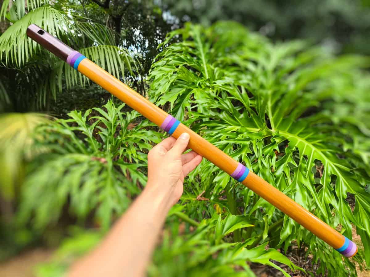 Flauta de Harmônicos Abuelos - A Baixo - Imagem 4