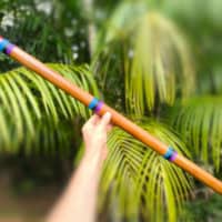 Flauta de Harmônicos Abuelos G3