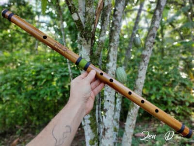Flauta Zen Ashar D