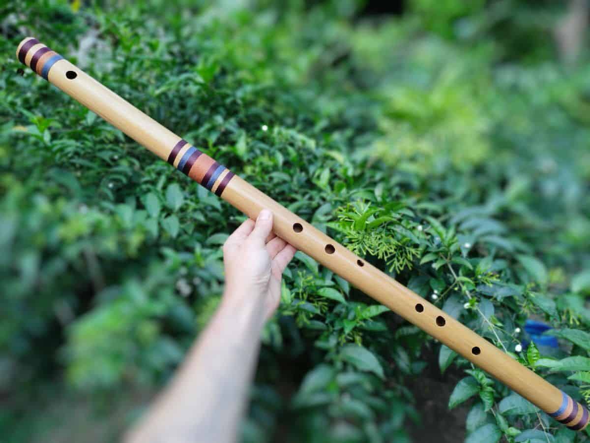 Bansuri Ashar - Bambu Indiano - C# Baixo - Imagem 2