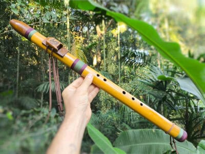Flauta Nativa Ashar River Cane D#