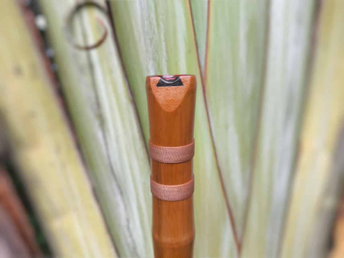 Shakuhachi 1.9 C