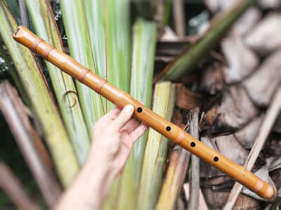 Shakuhachi 1.9 C