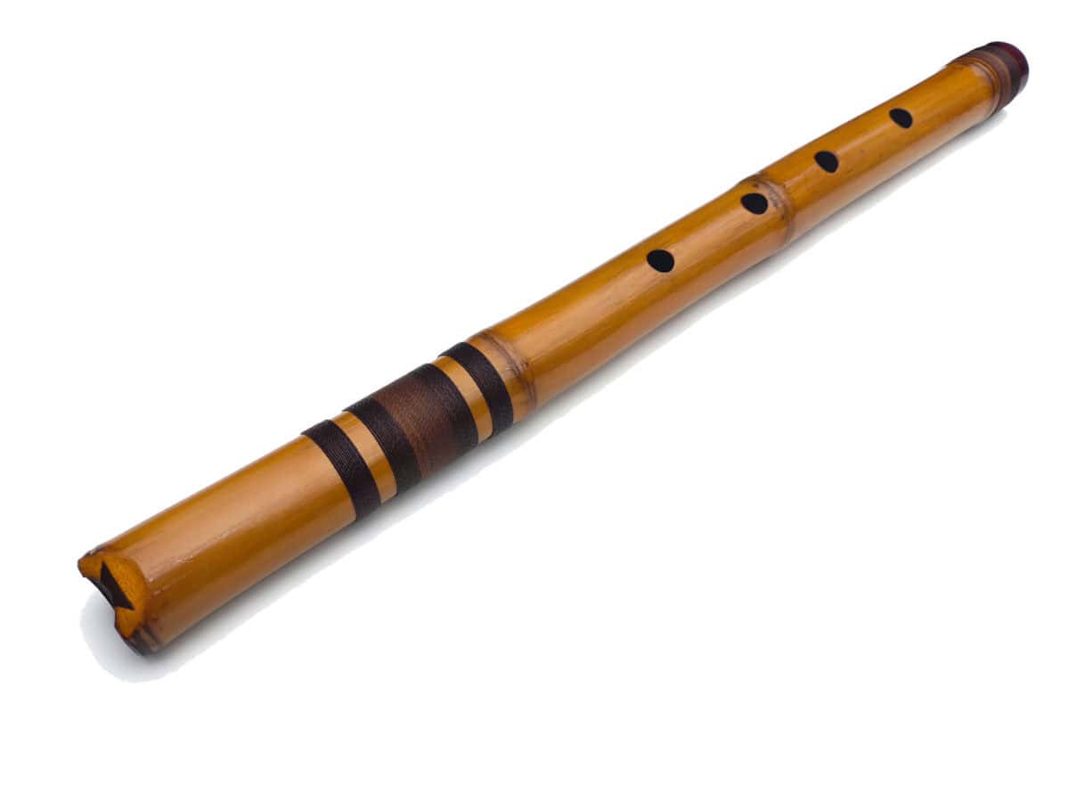 Shakuhachi Ashar D - 1.8