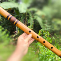 Shakuhachi Ashar D - 1.8