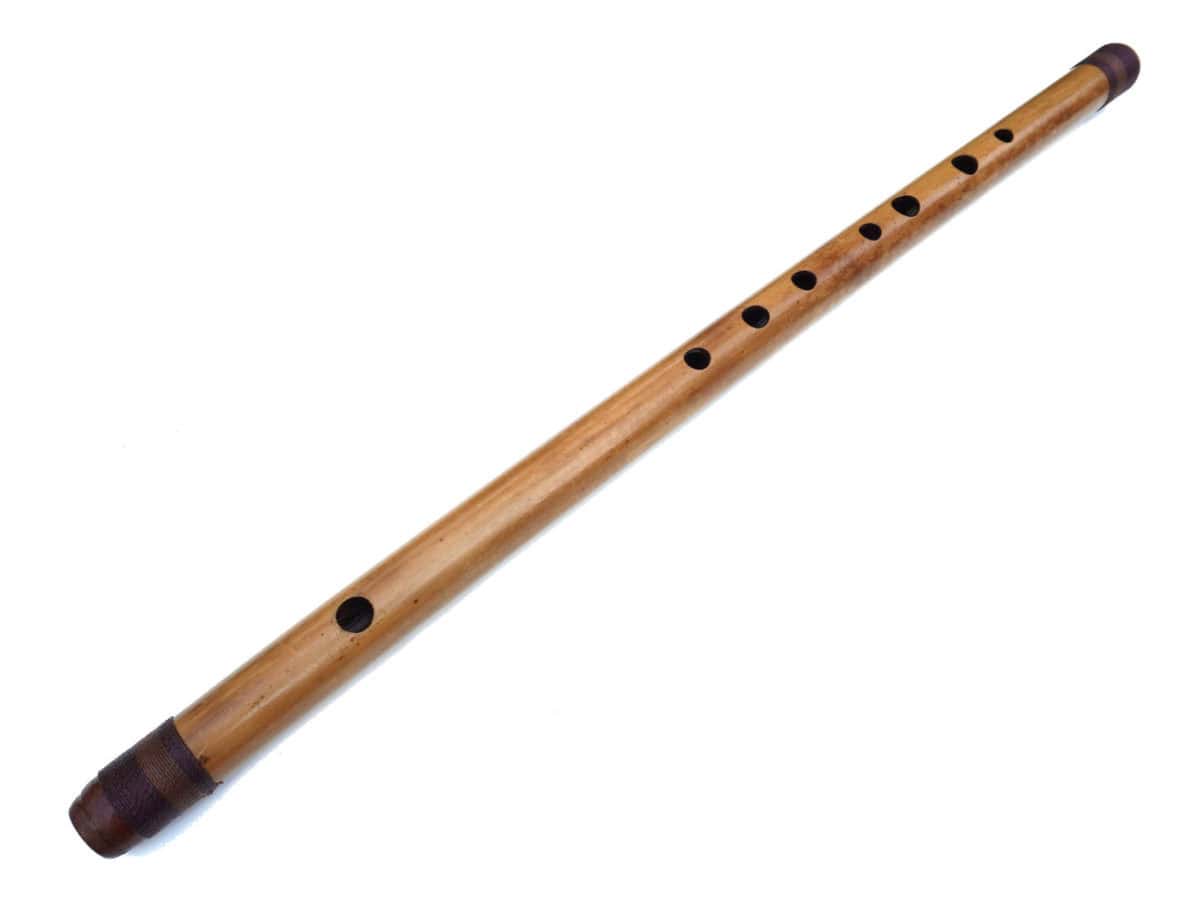 Shinobue G | Ashar