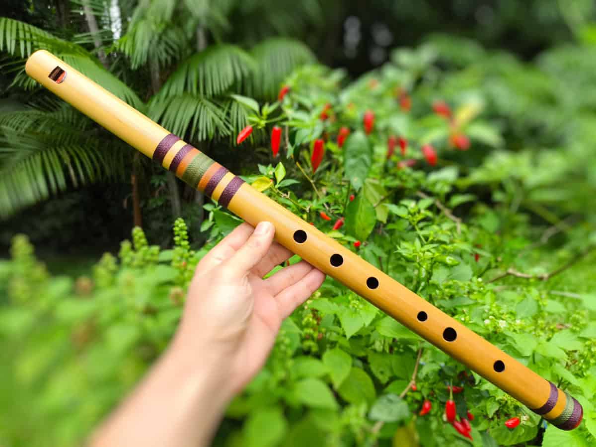 Flauta Doce de Bambu - Estilo Whistle Irlandesa - D baixo