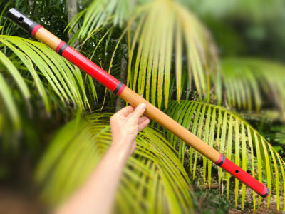 Flauta Estilo Kuluta A baixo - Ashar
