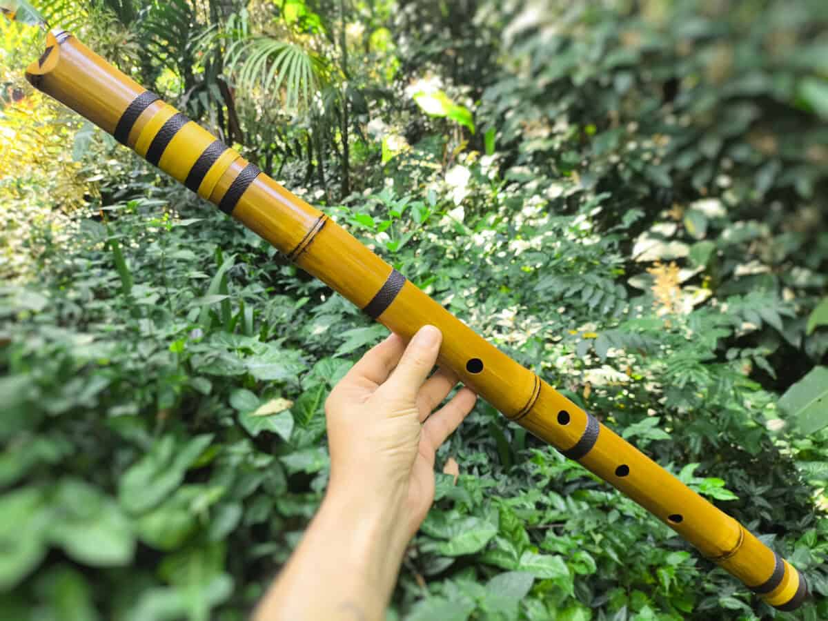 Shakuhachi 2.3 - Flauta de Bambu sem raiz Estilo Shakuhachi - A Baixo - Imagem 2
