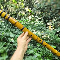 Shakuhachi 2.3 - Flauta de Bambu sem raiz Estilo Shakuhachi - A Baixo photo review