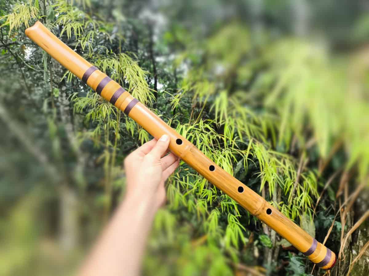 Shakuhachi 2.3 - A baixo