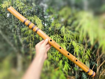 Shakuhachi 2.3 - A baixo