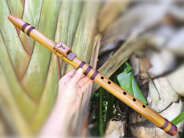 Qual flauta escolher para começar? Um guia honesto para iniciantes 7