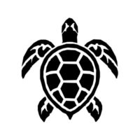 sea turtle